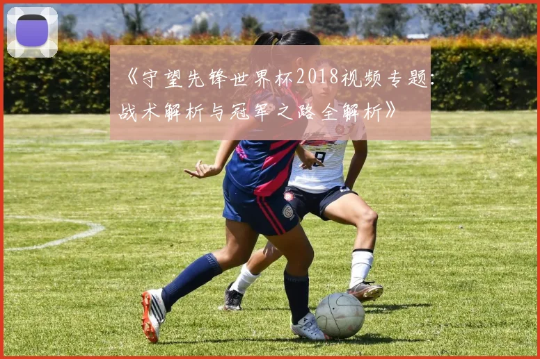 《守望先锋世界杯2018视频专题：战术解析与冠军之路全解析》
