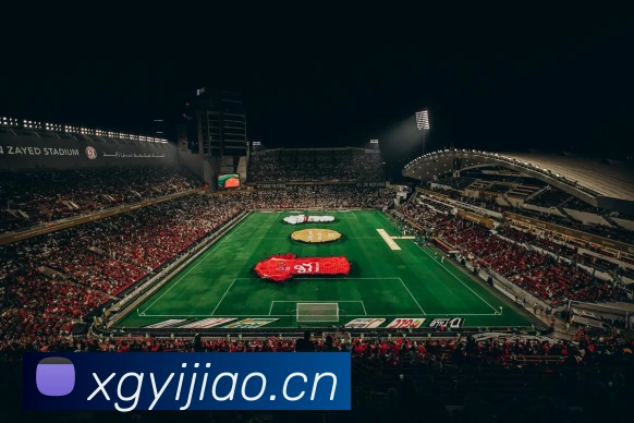 云开体育app官网入口登录网页版服务体系